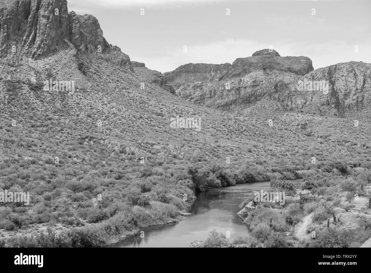 Arizona il paesaggio del deserto Foto Stock