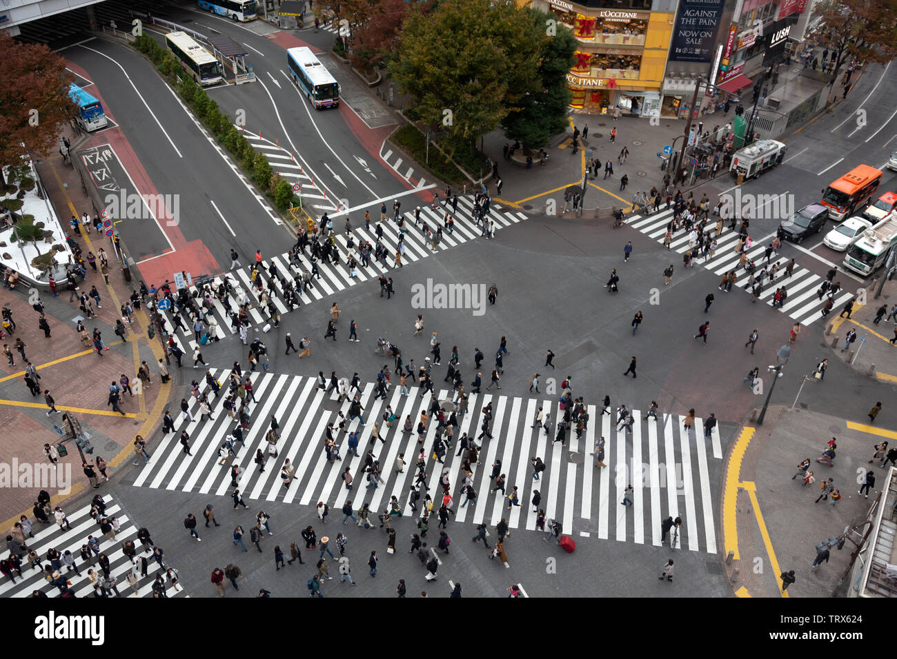 Incrocio di Shibuya, Tokyo, Giappone Foto Stock