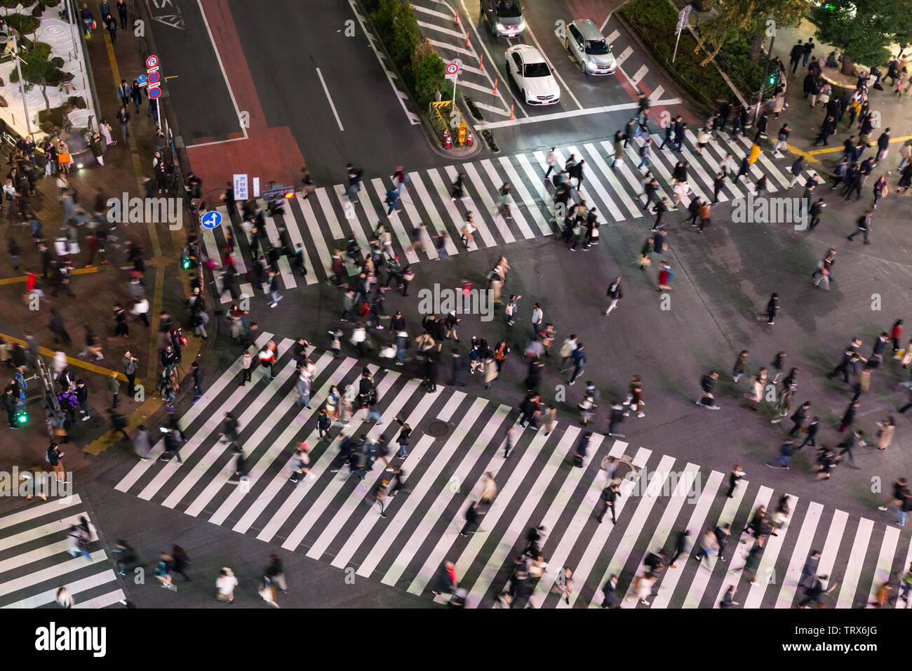Incrocio di Shibuya, Tokyo, Giappone Foto Stock