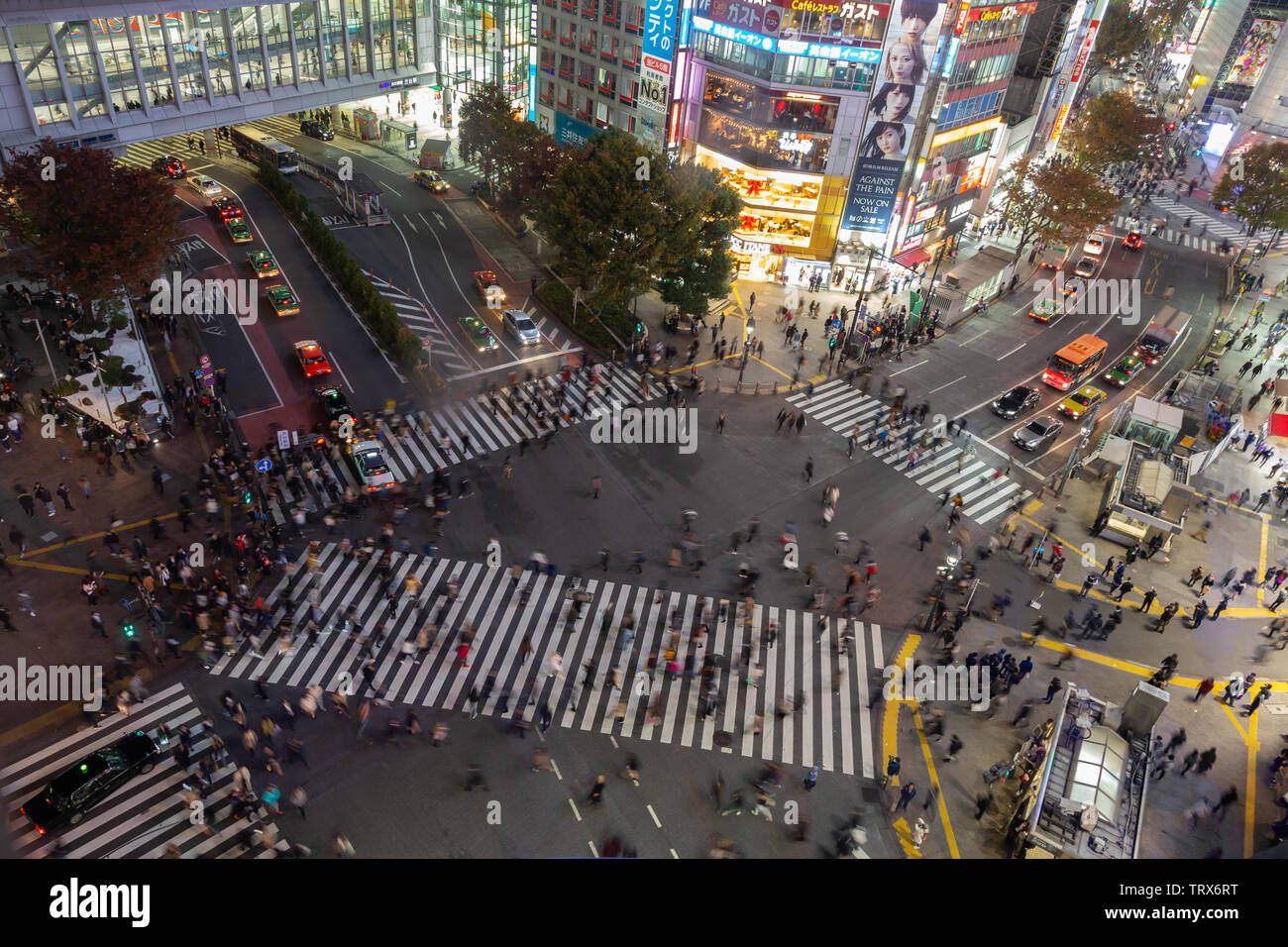Incrocio di Shibuya, Tokyo, Giappone Foto Stock