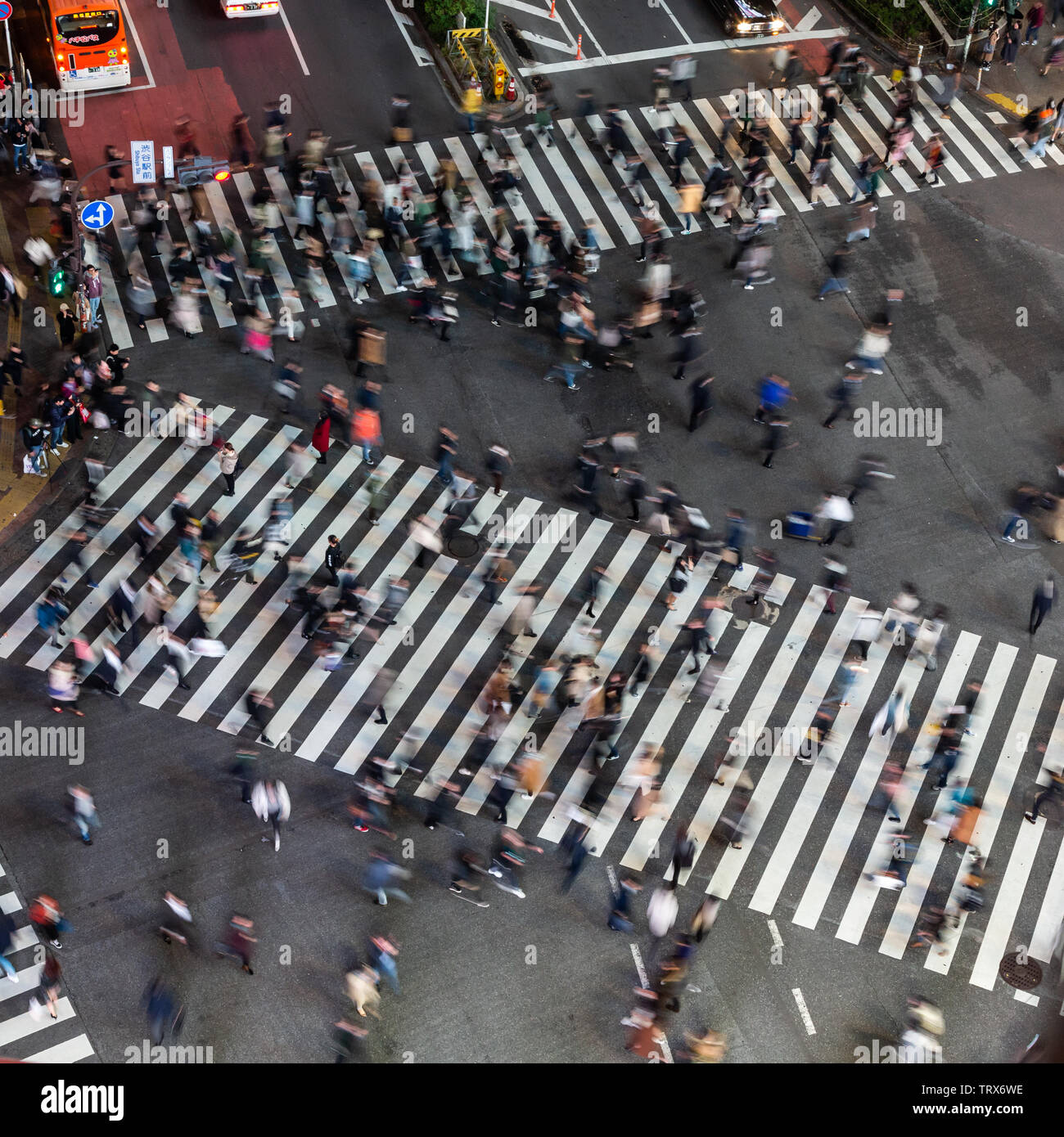 Incrocio di Shibuya, Tokyo, Giappone Foto Stock