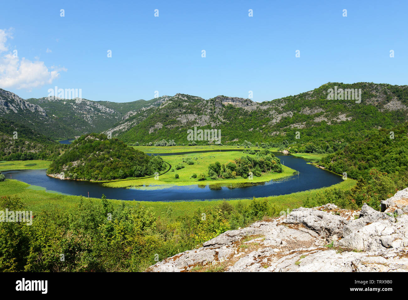 Il bellissimo fiume Crnojević vicino lago di Skadar, Montenegro. Foto Stock