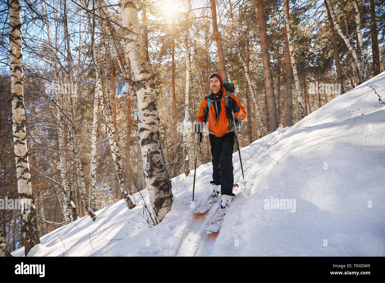 Uomo in camicia arancione sciare sulla polvere fresca neve in inverno forest Foto Stock