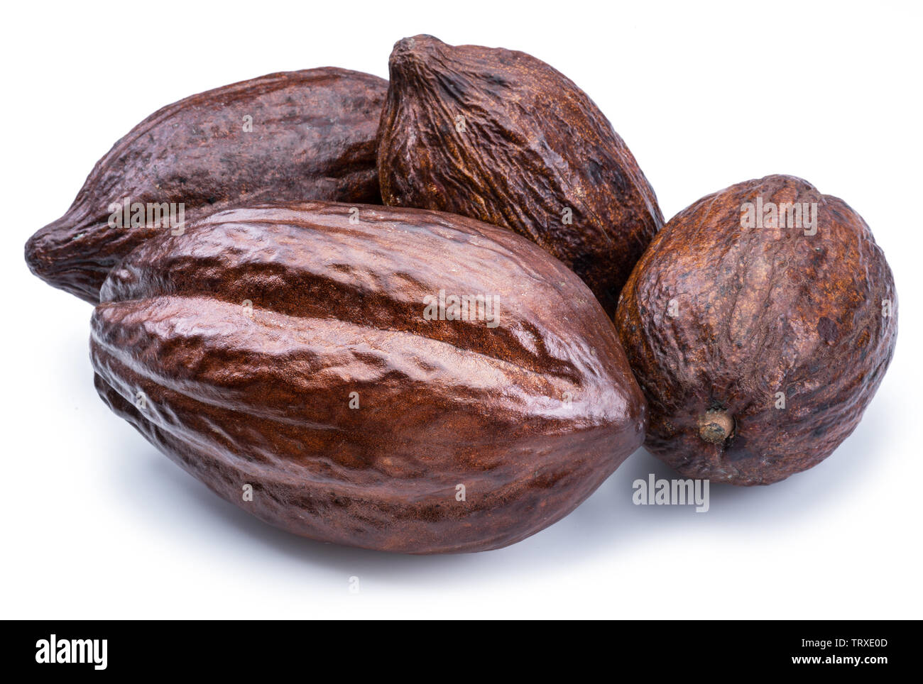 Brown cacao Cialde isolato su uno sfondo bianco. Foto Stock