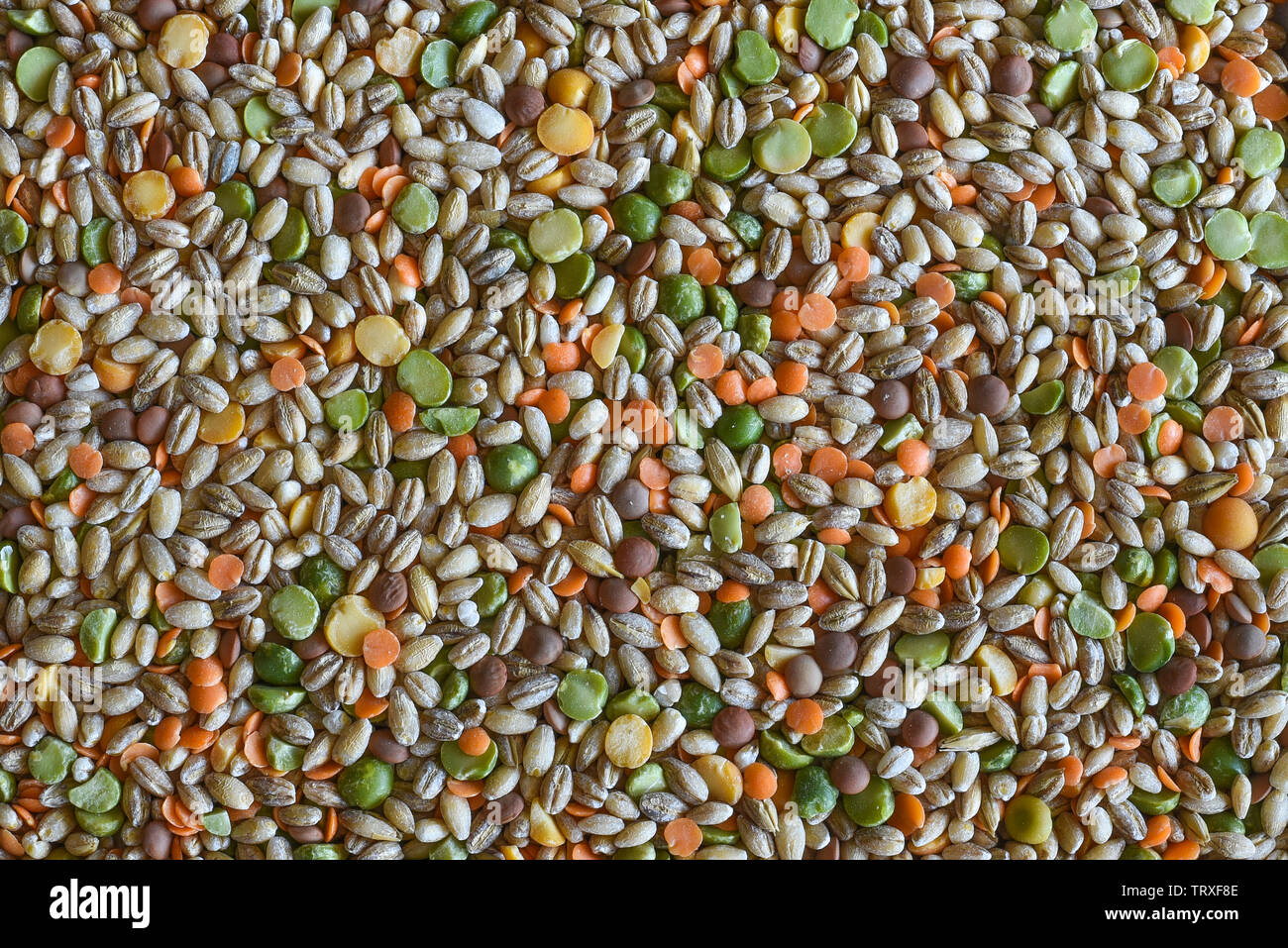 Mix di zuppa, un merci secche miscela di lenticchie, orzo e piselli spezzati. Foto Stock