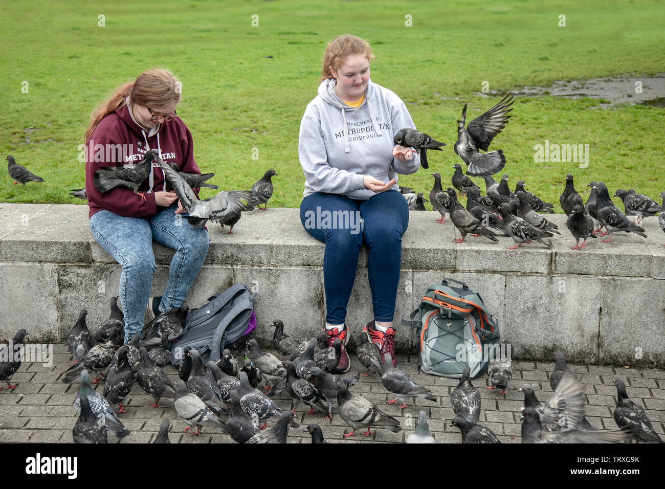 Manchester University gli studenti seduti ai turisti l'alimentazione di un gregge di piccioni selvatici in Piccadilly gardens, REGNO UNITO Foto Stock