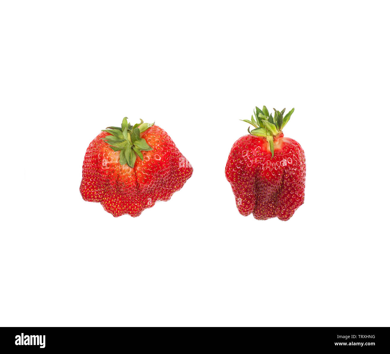 Due rosso Fragole organico isolato su bianco. Di tendenza naturale cibo brutto.Flat laici. Foto Stock