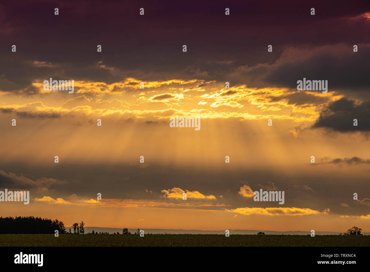 La luce del sole raggio di luce esce dal tramonto nuvole, obiettivo per il futuro la religione credenza Foto Stock