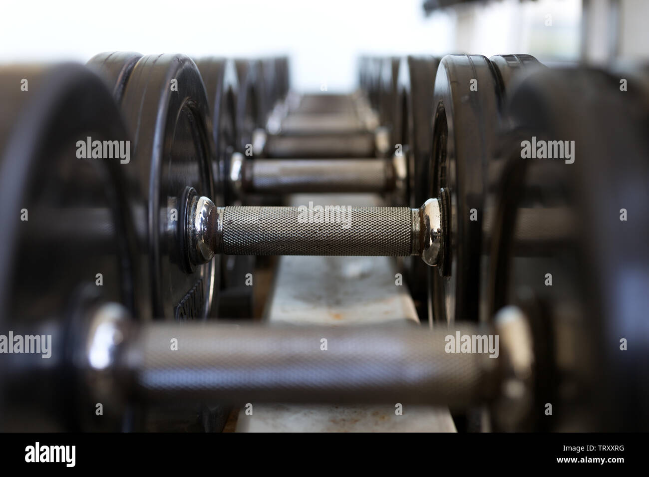 Pesante metallo nero manubri giacente in una fila, primo piano Foto Stock