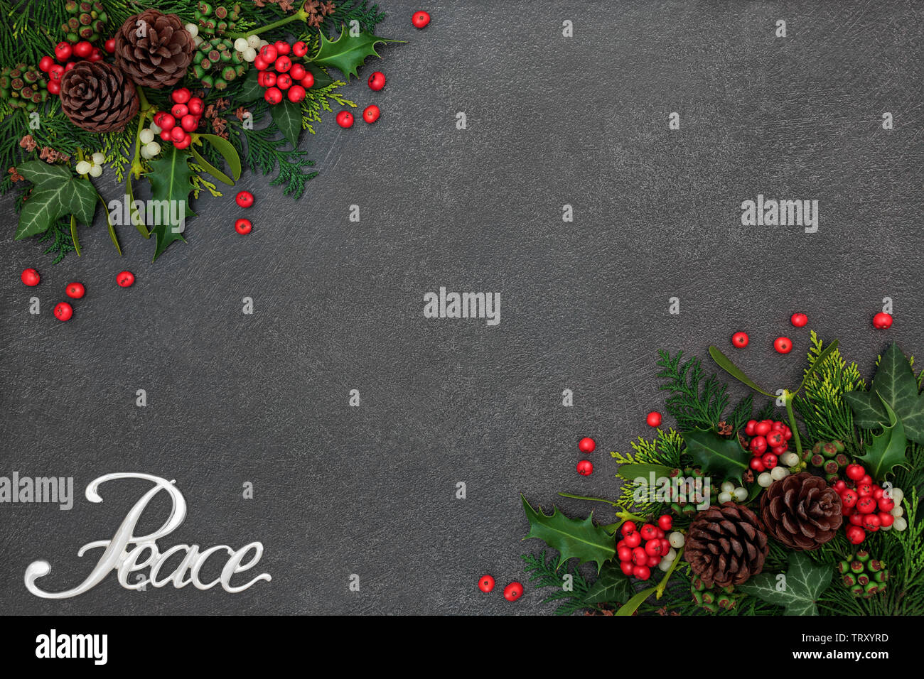 Natale pace del bordo dello sfondo con segno di argento e flora invernale di agrifoglio con bacche allentati, vischio, edera, foglie di cedro e pigne su grunge Foto Stock