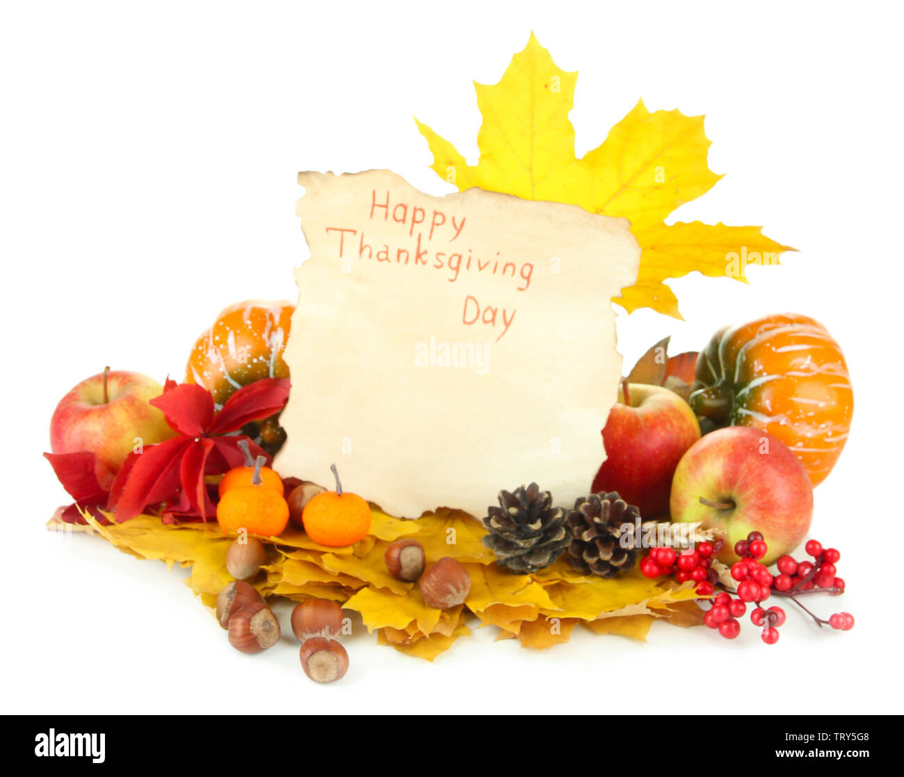 D'autunno bella Giornata del Ringraziamento composizione, isolato su bianco Foto Stock