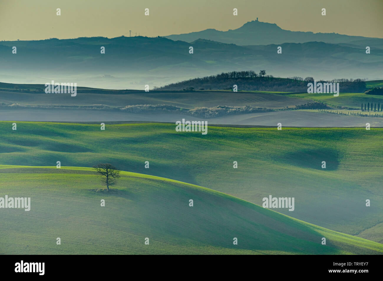 Val d'Orcia, Toscana, Italia Foto Stock