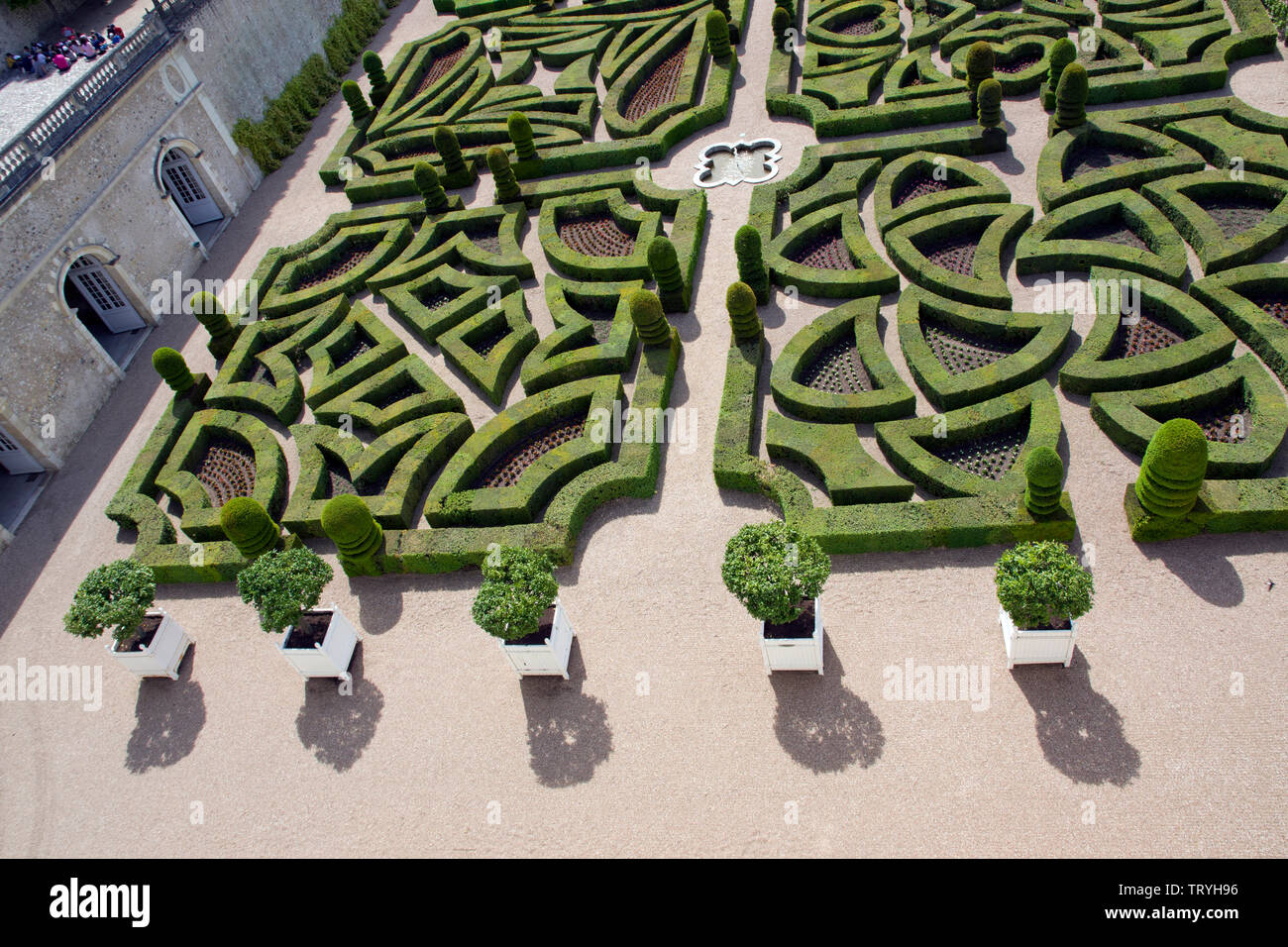 Il giardino ornamentale, Chateau Villandry Foto Stock