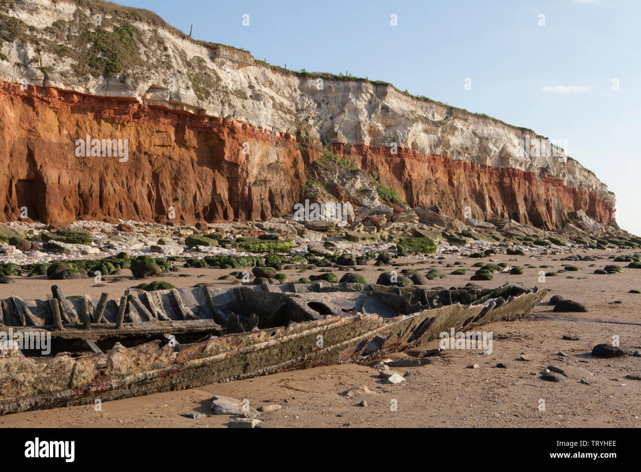 Hunstanton scogliere sulla costa di Norfolk di Inghilterra, biologici e geologici SSSI Foto Stock