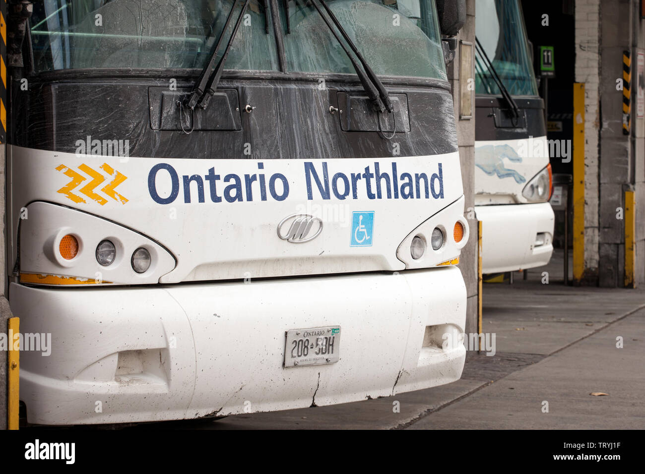 TORONTO, Canada - 14 novembre 2018: Ontario Northland logo su un bus in pulmann in piedi in Toronto dalla stazione dei pullman. Ontario Northland è una provinciale b Foto Stock