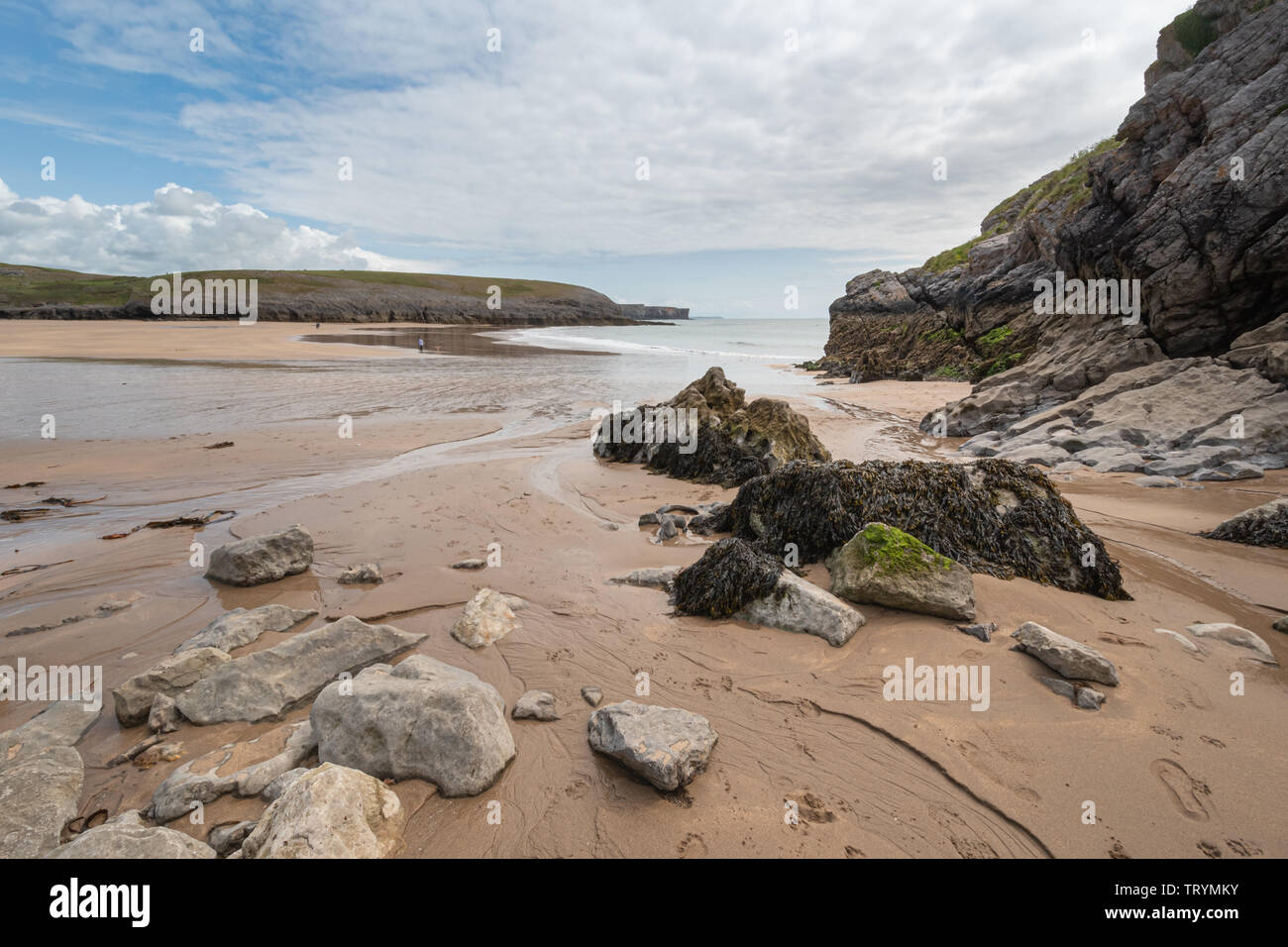 Paesaggi costieri a vasta oasi beach in Pembrokeshire, Galles Foto Stock