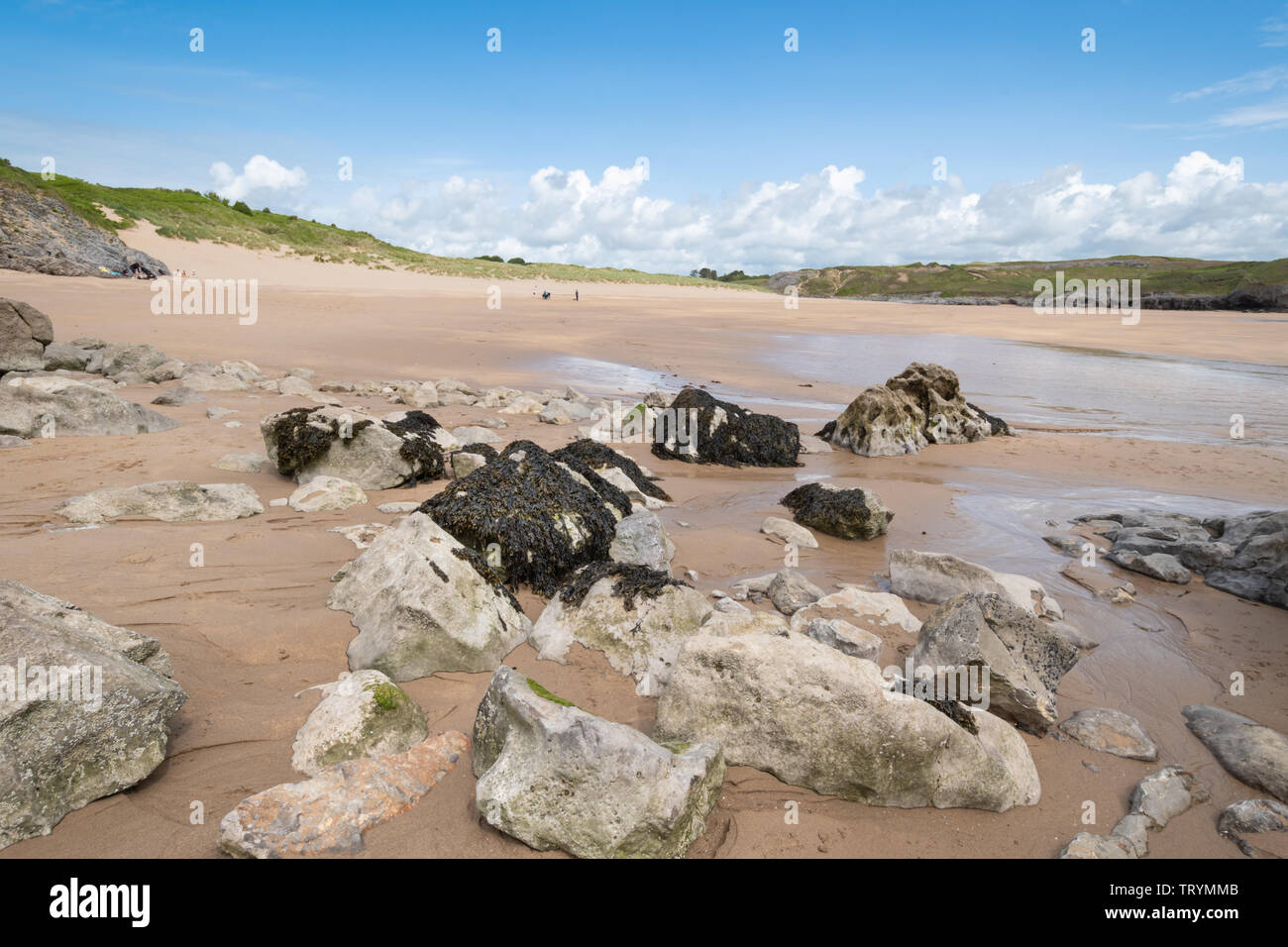 Paesaggi costieri a vasta oasi beach in Pembrokeshire, Galles Foto Stock