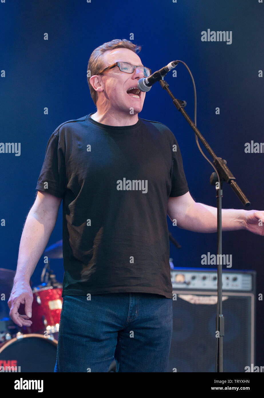 Craig Reid degli annunciatori di eseguire presso il festival Cornbury, grande Tew, Oxfordshire, Regno Unito. Luglio 6, 2013 Foto Stock