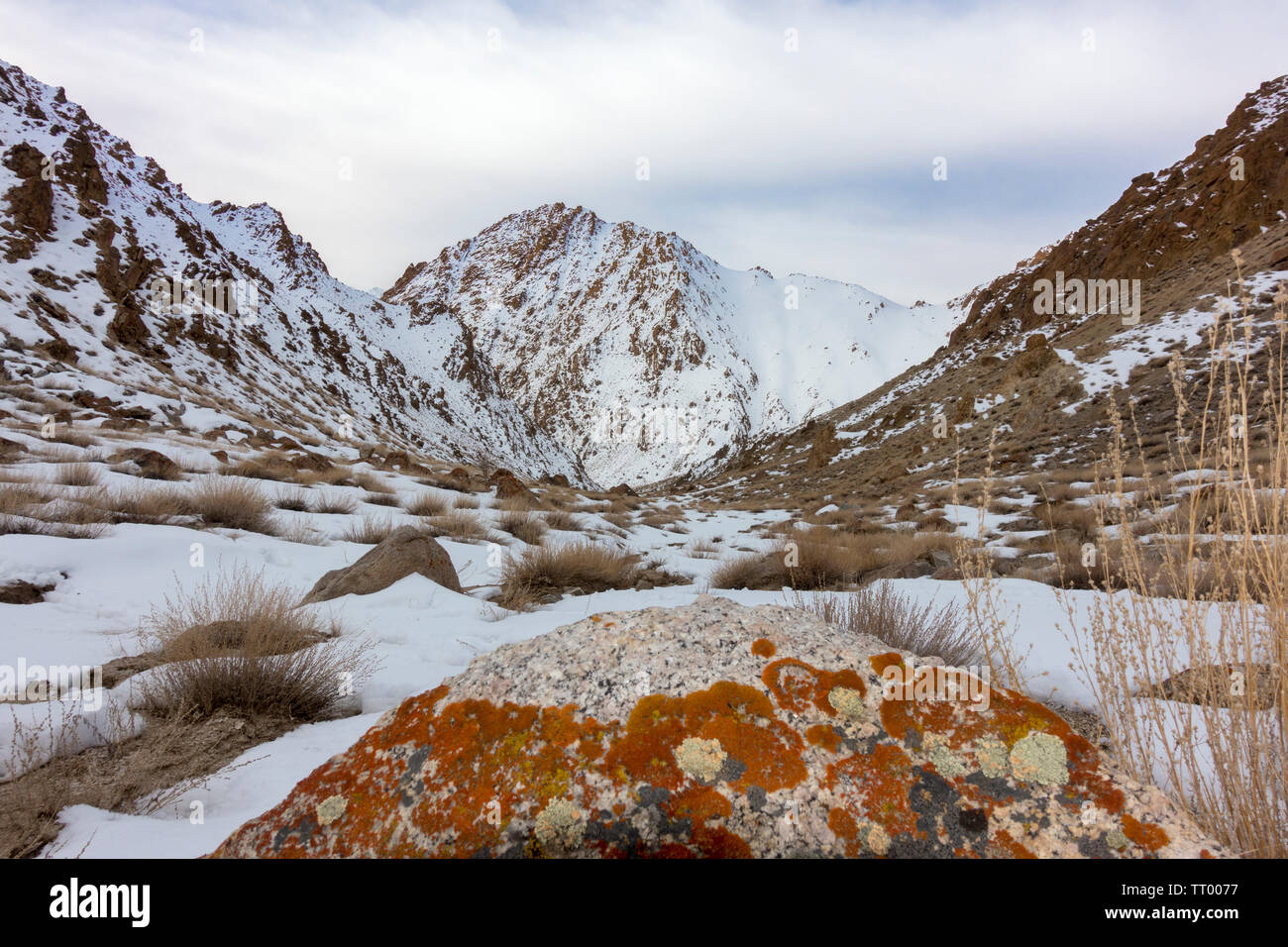 Ladakh India paesaggio in inverno dopo la nevicata Foto Stock