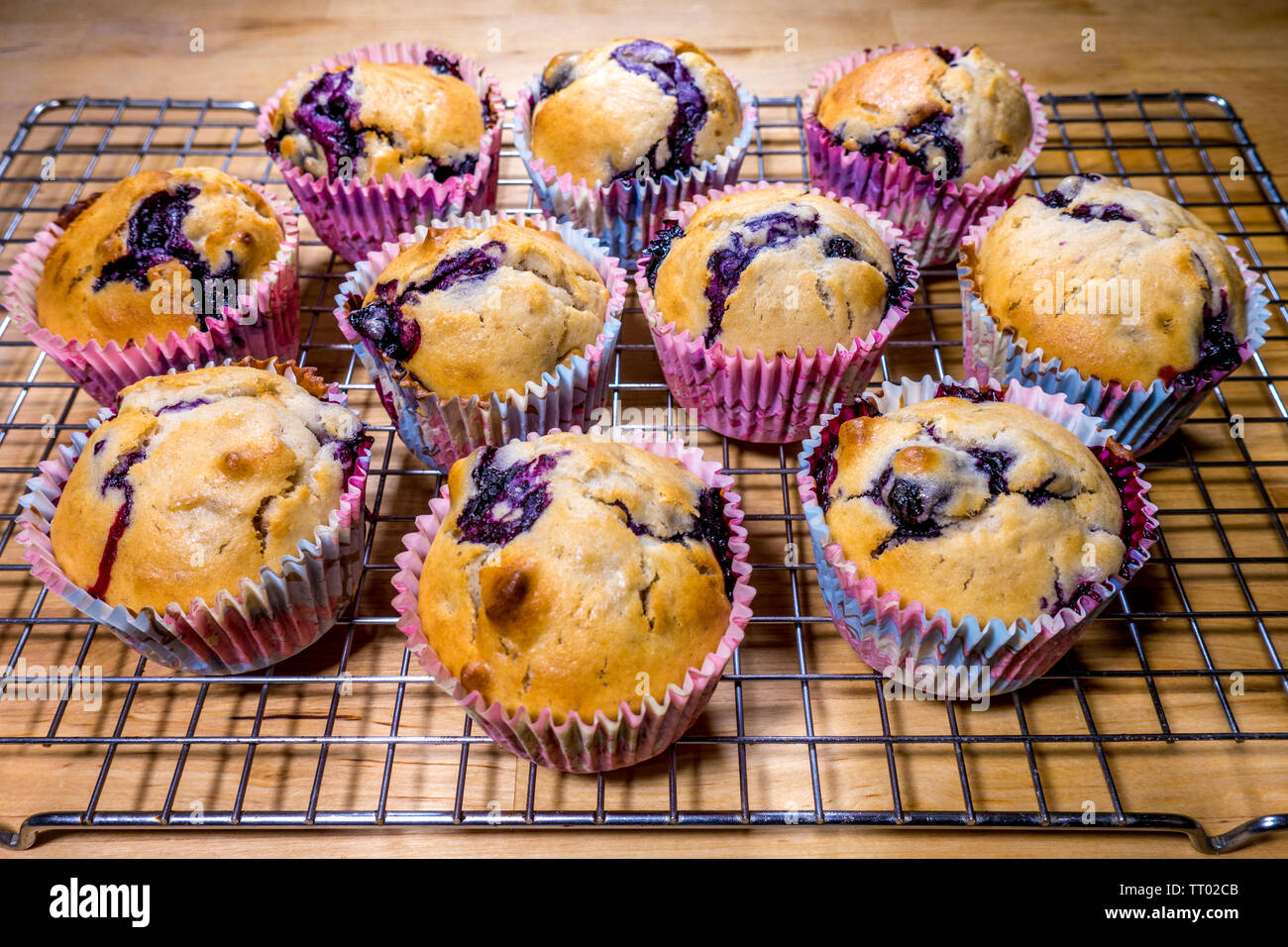 Un lotto di cotta al forno, fatti in casa, muffin ai mirtilli nei loro casi carta appoggiata su una griglia di raffreddamento. Foto Stock
