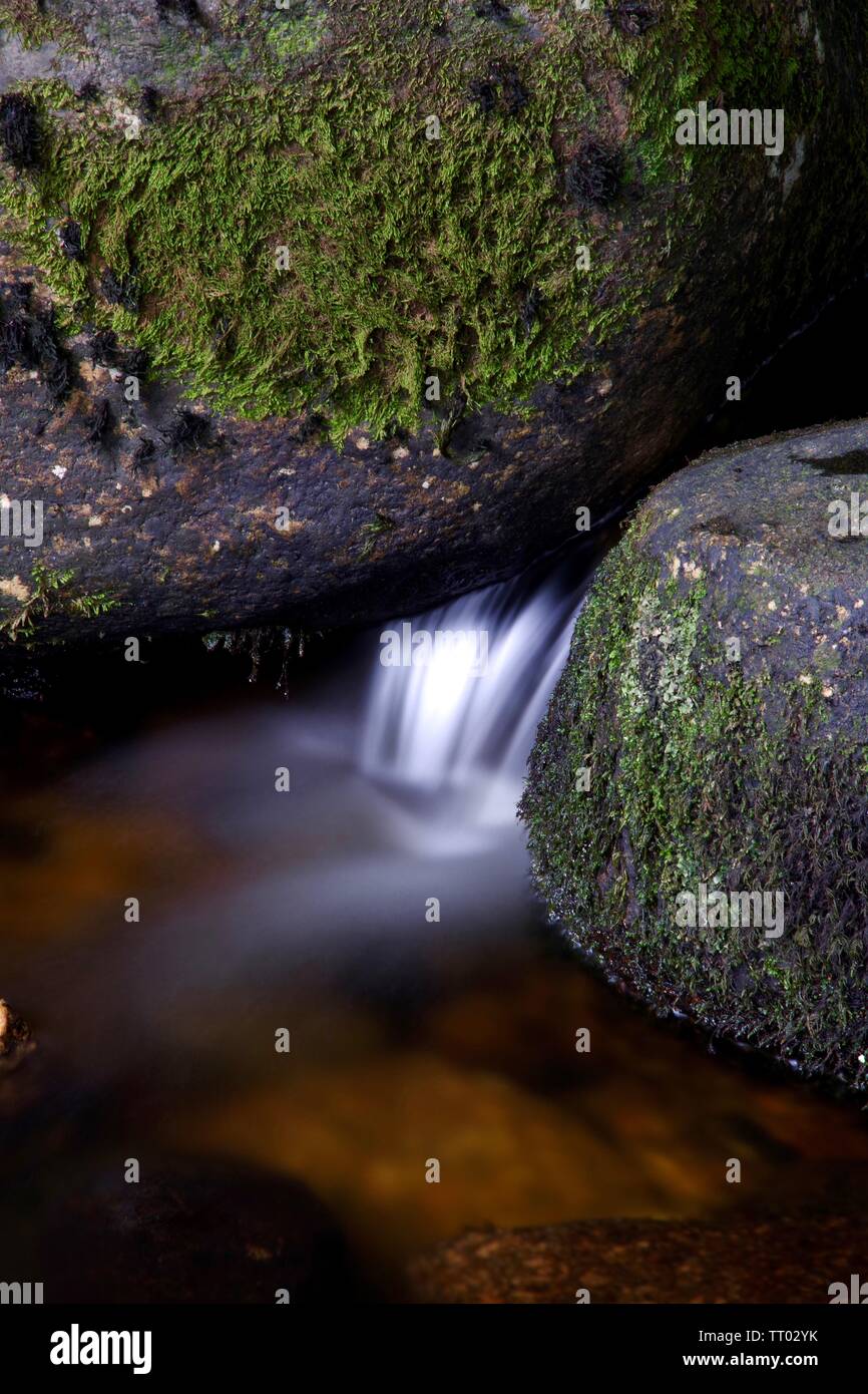 A est del fiume Dart a Dartmeet su un nuvoloso giornata d'estate. Parco Nazionale di Dartmoor, Devon, Regno Unito. Foto Stock