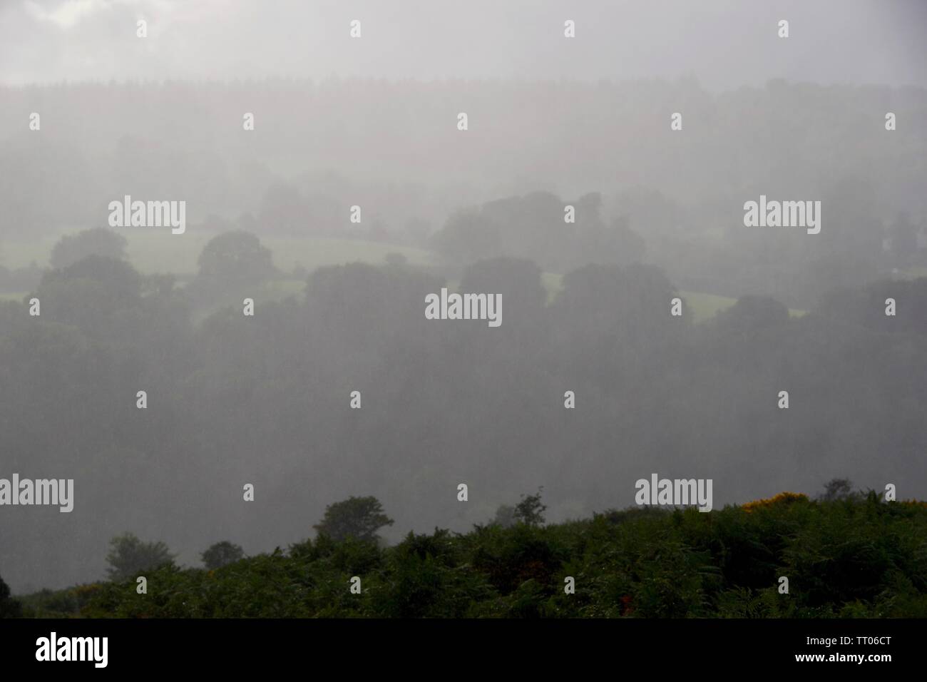 Acquazzone estivo oltre il Parco Nazionale di Dartmoor. Devon, Regno Unito. Foto Stock