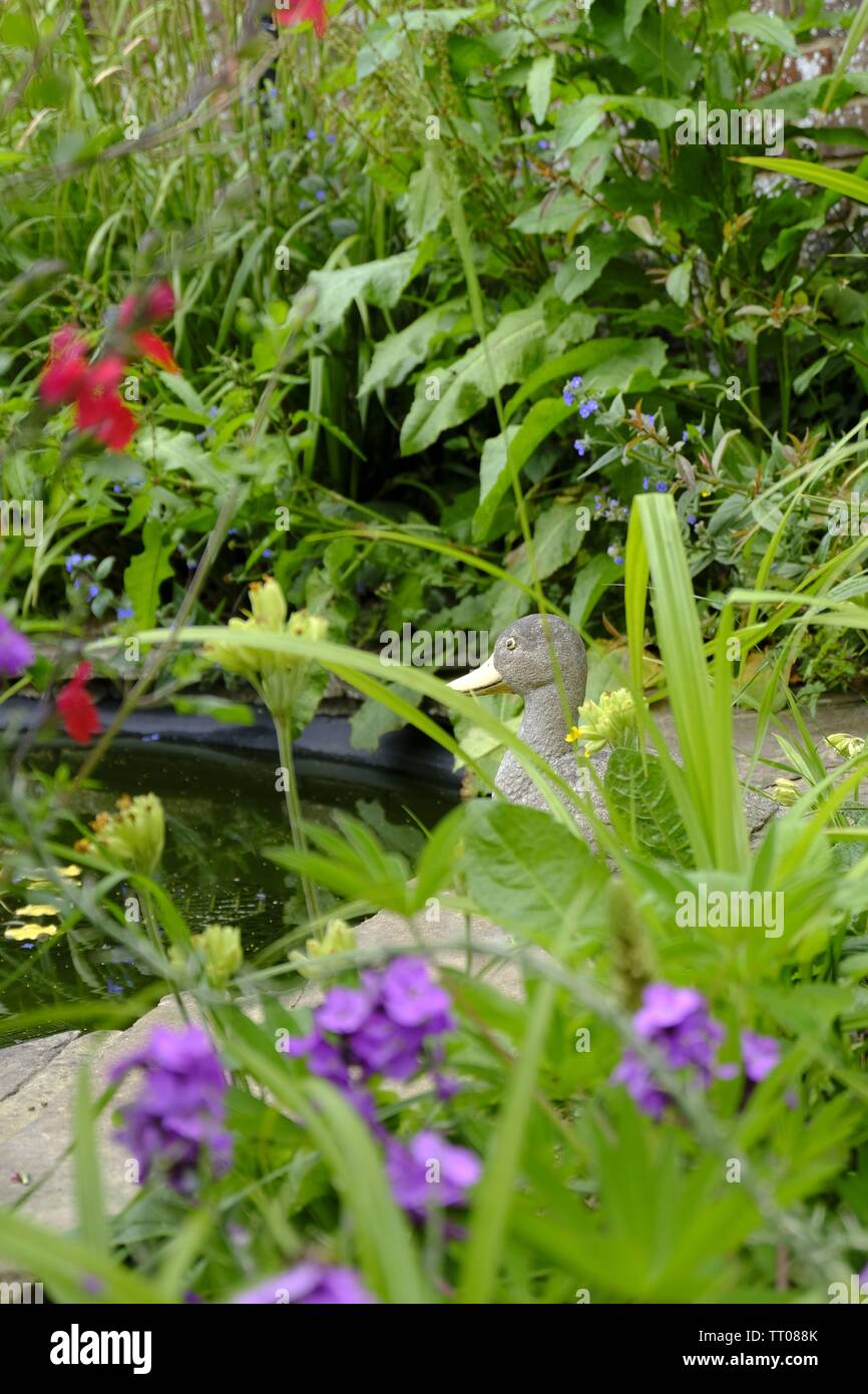 West Sussex, Regno Unito. Ben consolidata del laghetto in giardino con pietra ornamento d'anatra seduta accanto ad essa. Foto Stock