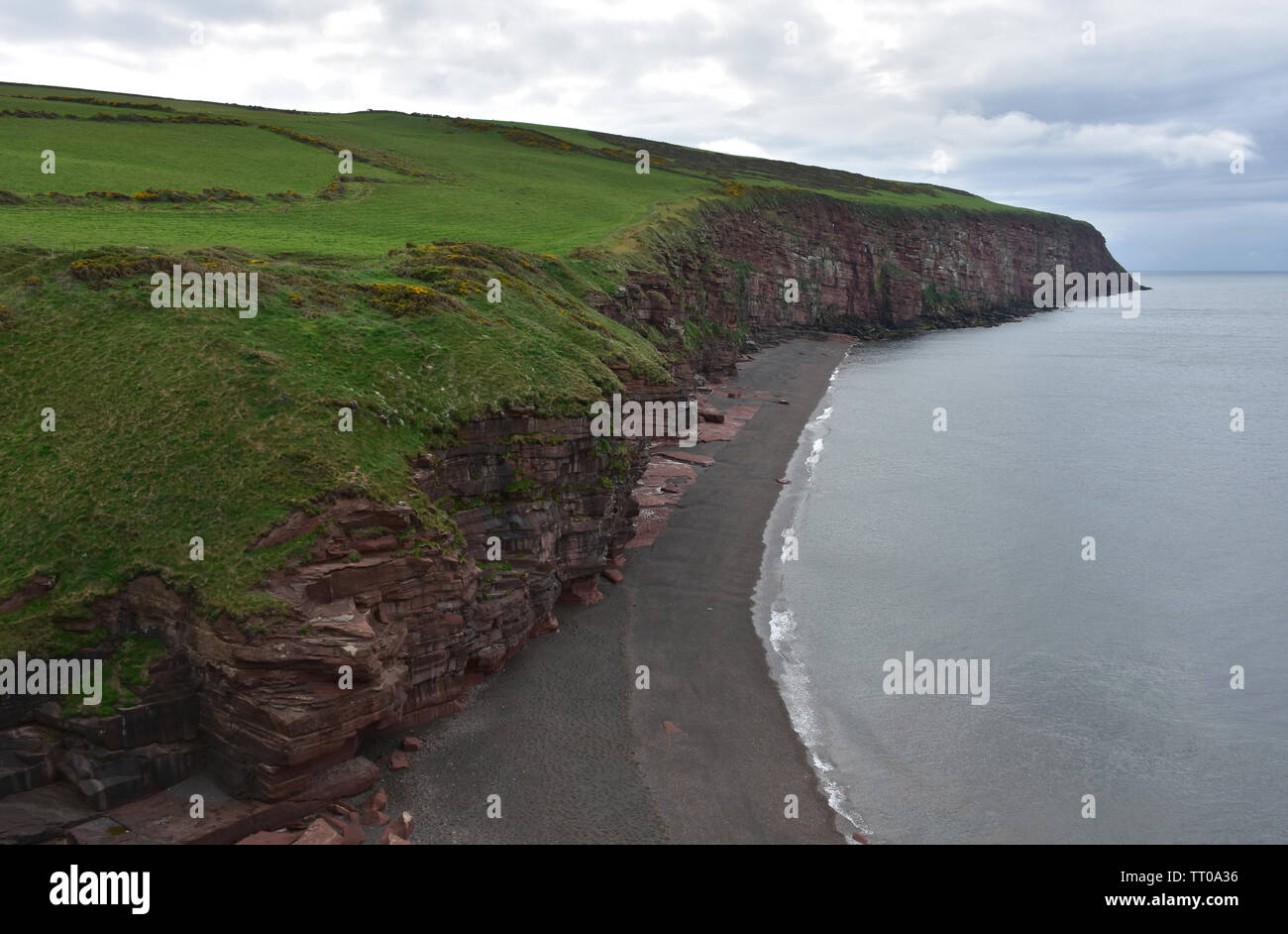 Una bellissima spiaggia di sabbia e di pietra arenaria rossa scogliere sul mare sulla costa della Baia di Fleswick. Foto Stock