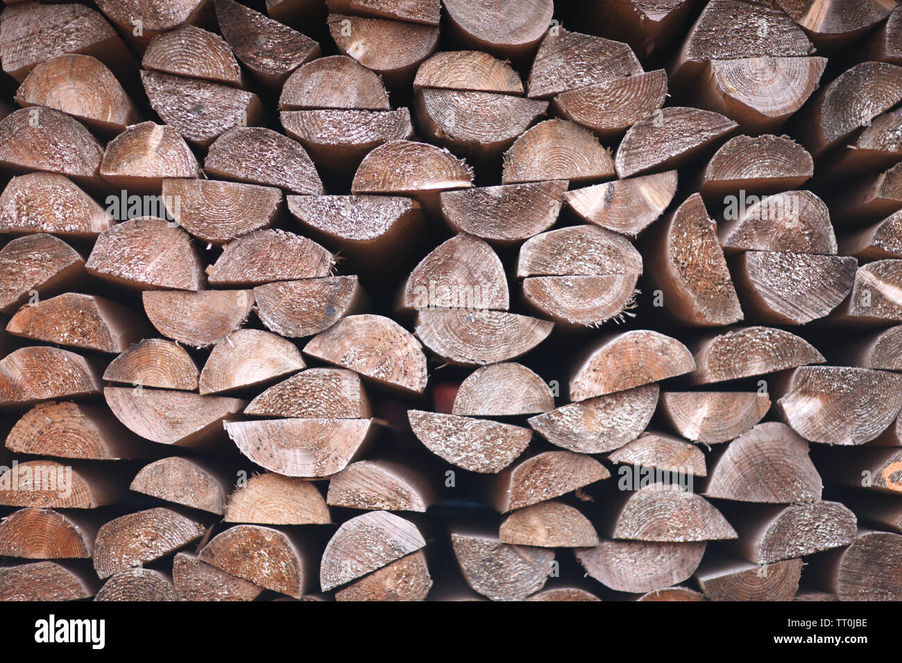 La texture sezionatrice trasversale al taglio di legna accumulata per esportazione presso il porto di spedizione Foto Stock