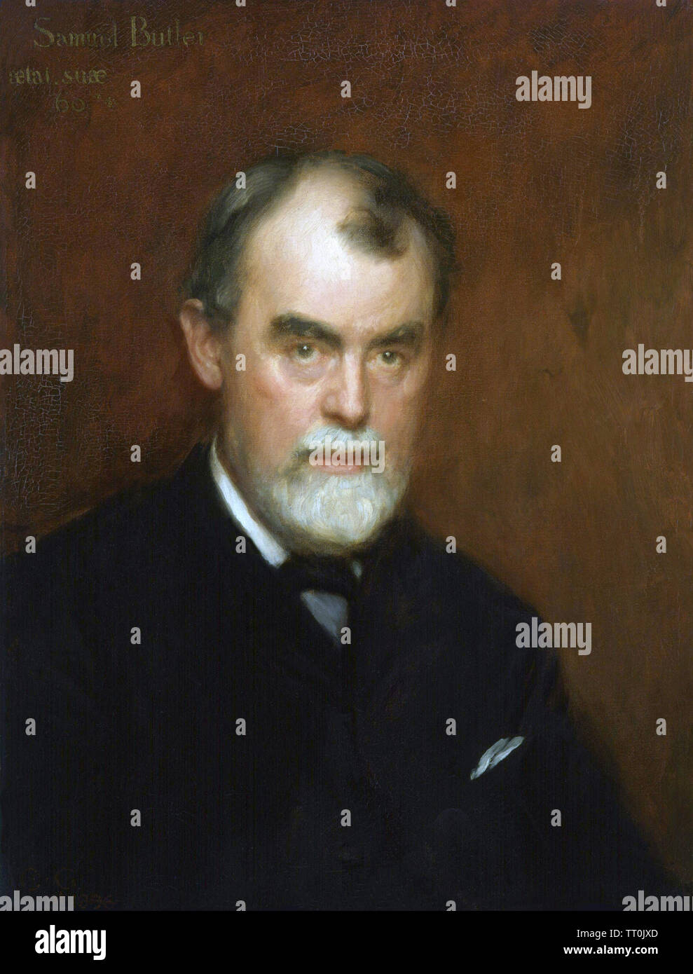 SAMUEL BUTLER (1835-1902) romanziere inglese Foto Stock