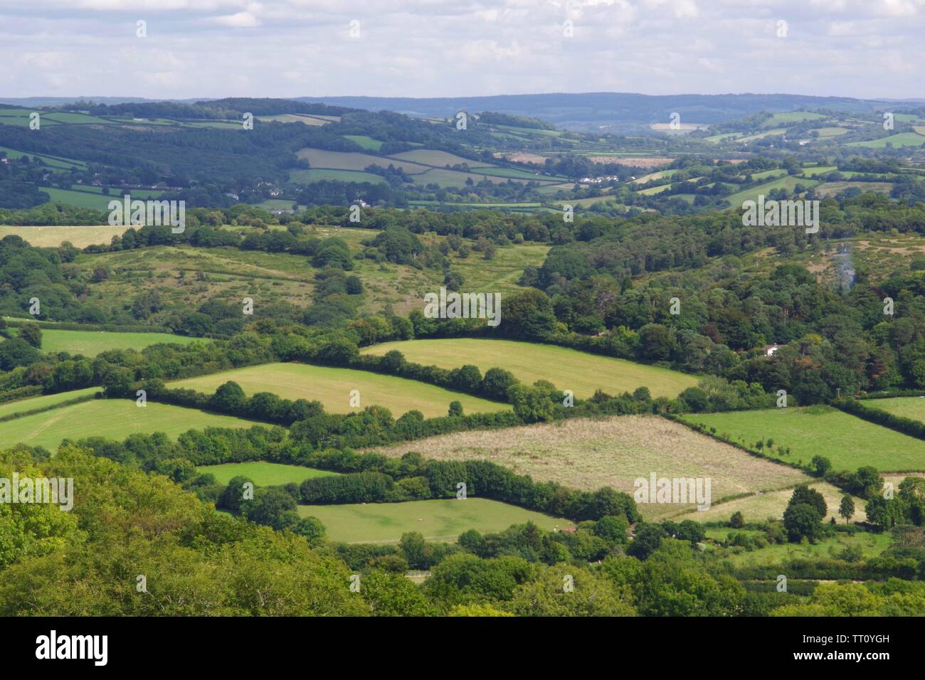 Patchwork pastorale paesaggio di campi, siepi e boschi in alta stagione. Buckfastleigh, Devon, Regno Unito. Foto Stock