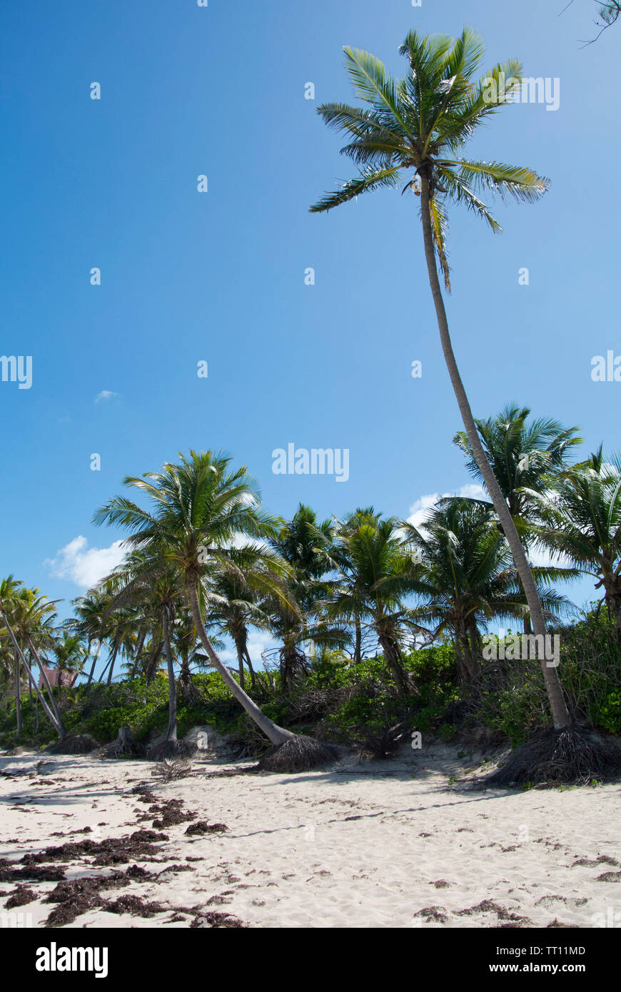 Paradise Island Beach Foto Stock