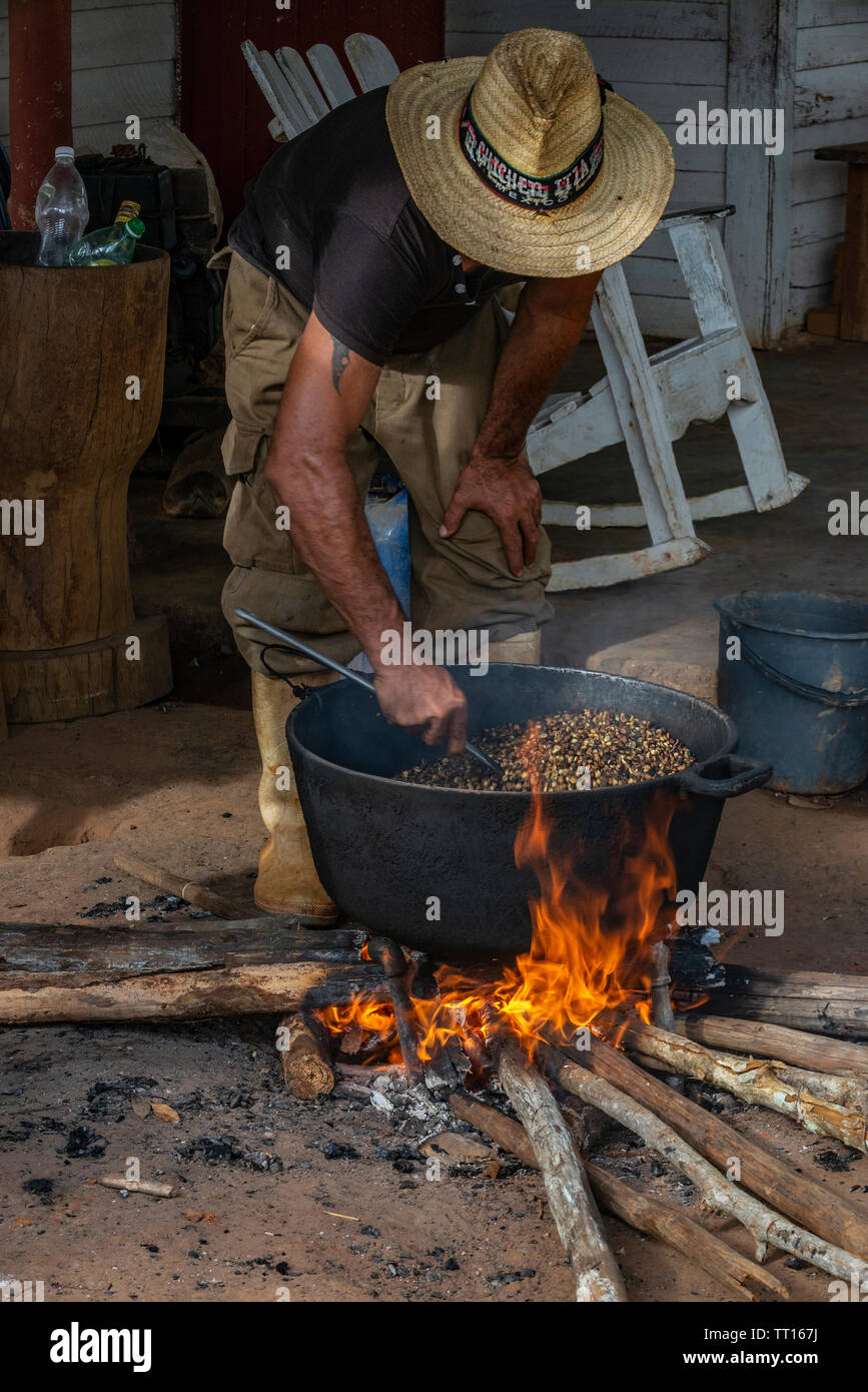 L'agricoltore cubano tostatura i chicchi di caffè su un fuoco di legno in Vinales Valley, Vinales, Pinar del Rio provincia,Cuba, dei Caraibi Foto Stock