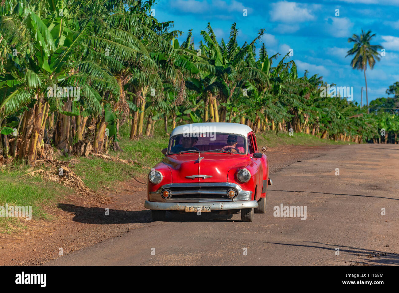 Auto cubana classica che passa davanti ad una piantagione di banane sulla strada da Vinales a Palma Rubia (Cayo Levisa) Pinar del Rio Provincia, Cuba Foto Stock
