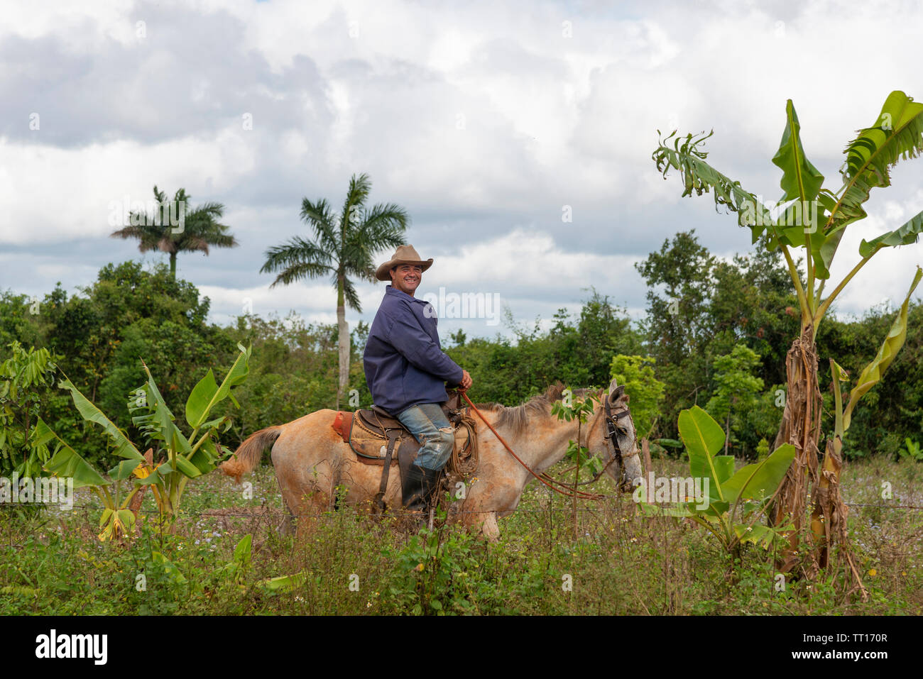Farmer (guajiro) prende una cavalcata notturna intorno alla sua station wagon in Vinales Valley, Vinales, Cuba, Caraibi Foto Stock