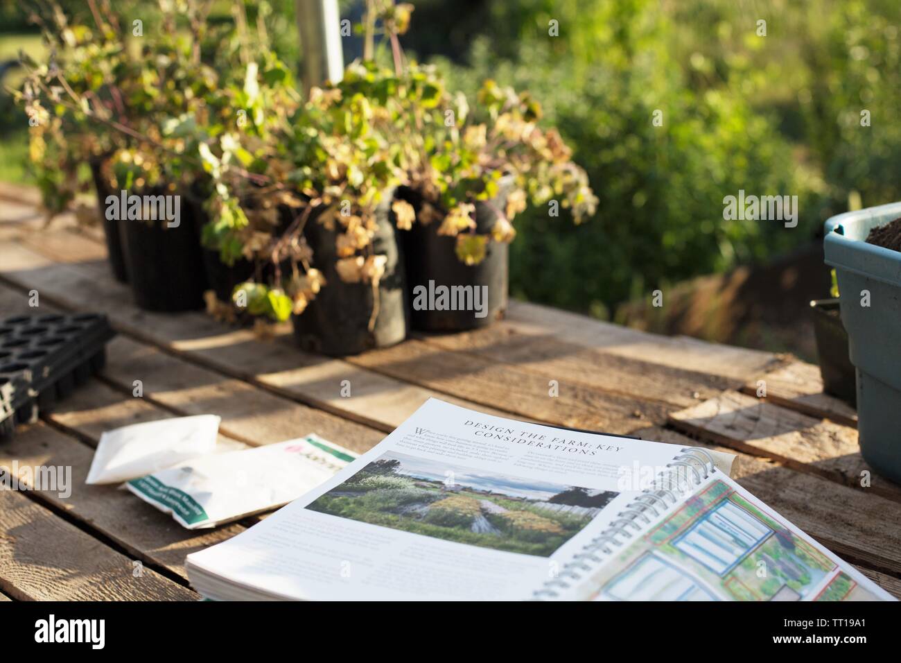 Un libro su un tavolo in un giardino aperto a una pagina Informazioni su Agriturismo design. Foto Stock