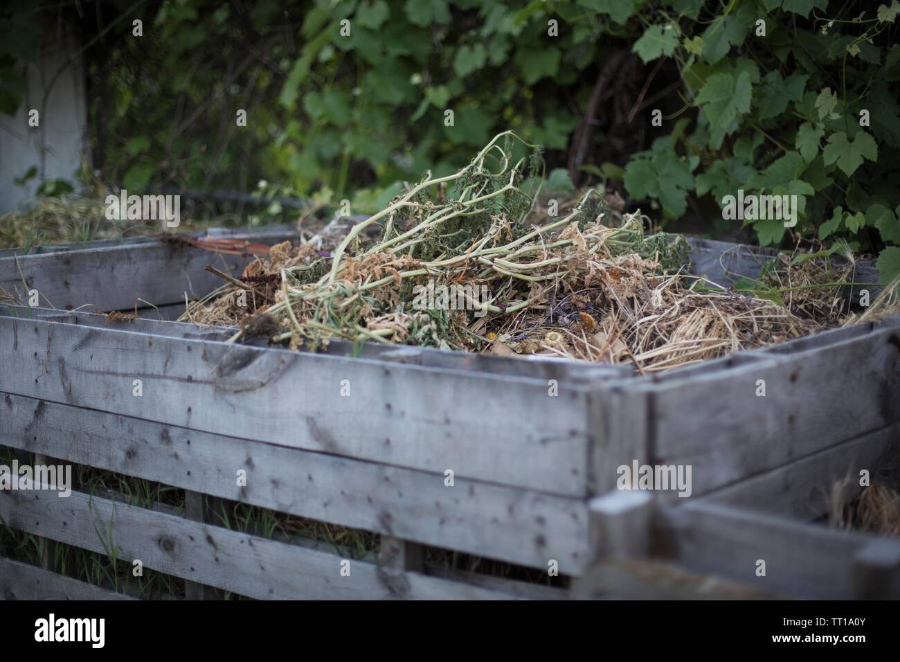 Ampio cortile giardino in legno il compostaggio dei rifiuti bin. Foto Stock