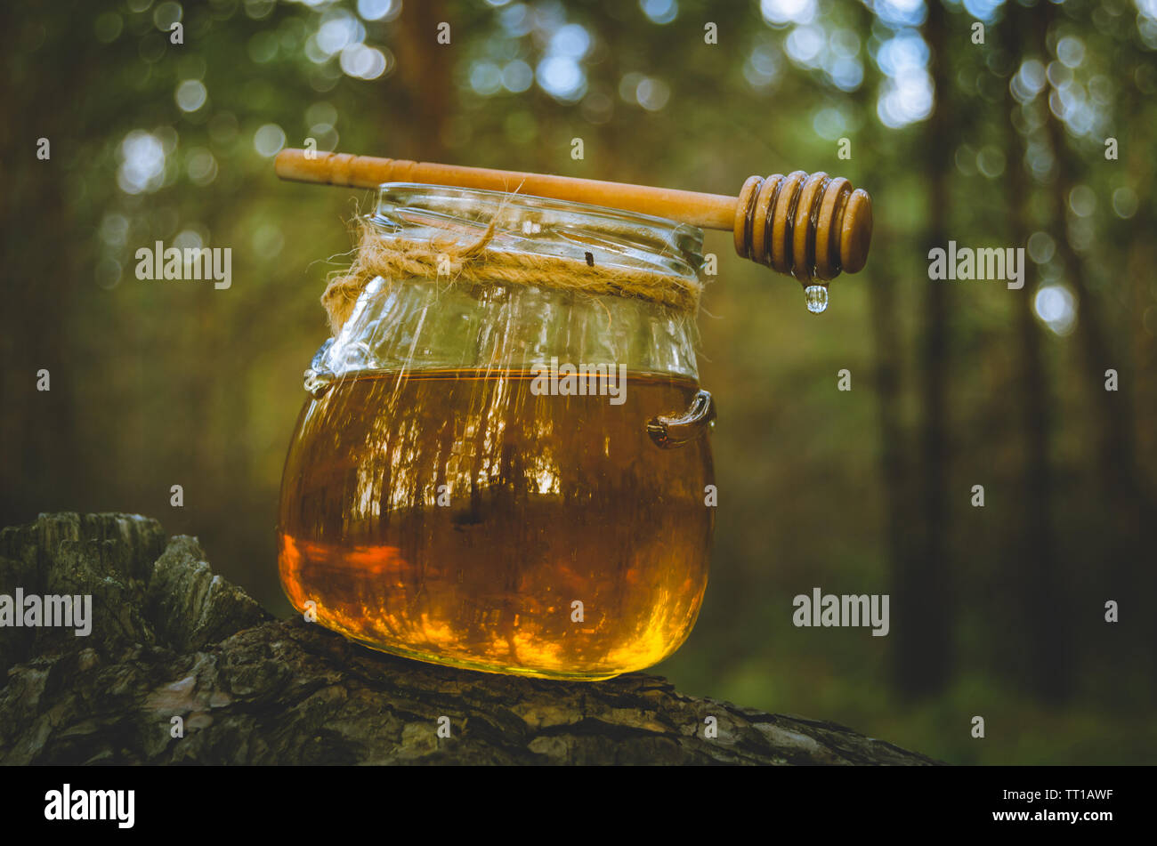 Un vasetto di miele fresco e cucchiaio di miele su albero di pino di boschi.il cibo sano. Foto Stock