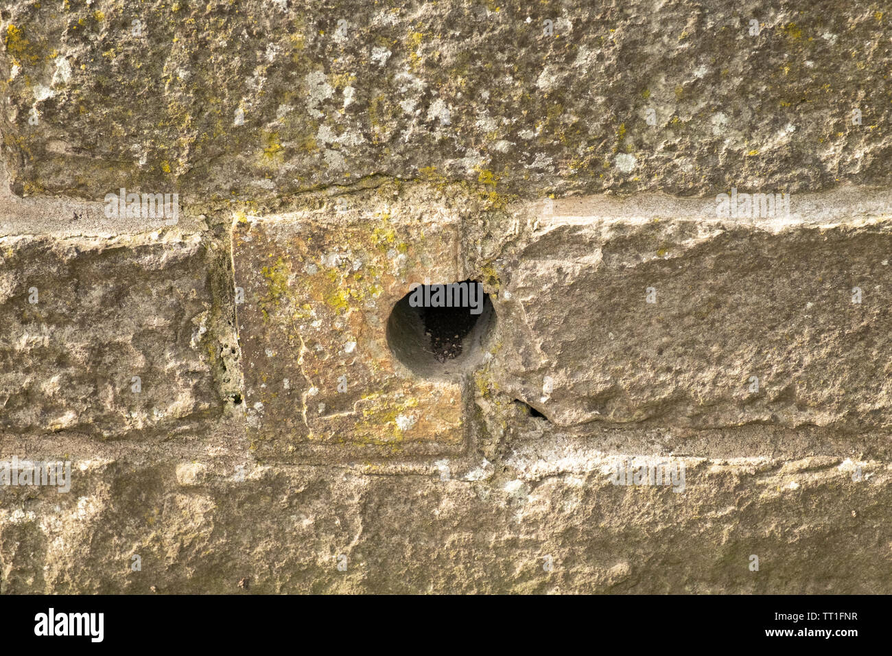 Il foro di drenaggio nel muro di pietra, Holyrood Park, Edimburgo, Scozia Foto Stock