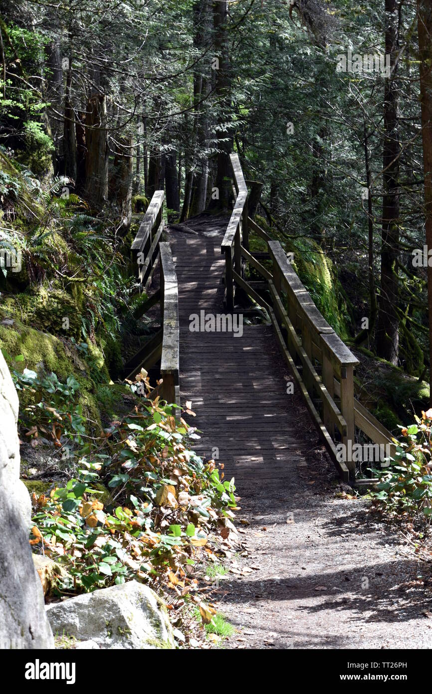 Ponte di legno su una piccola corrente in una foresta pluviale canadese Foto Stock