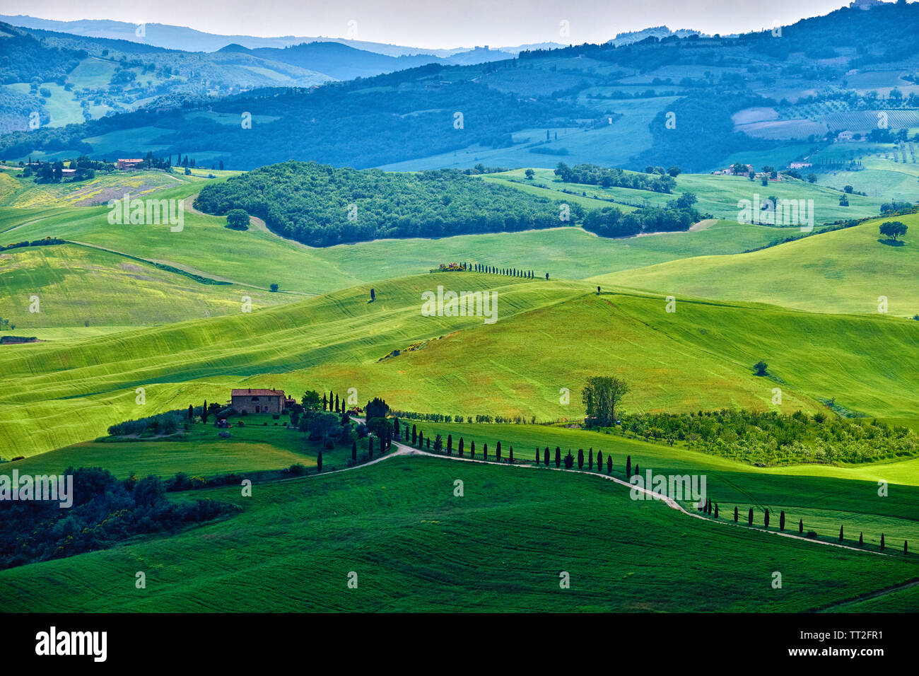 Dolci colline con le aziende agricole, Val d'Orcia, Toscana, Italia Foto Stock