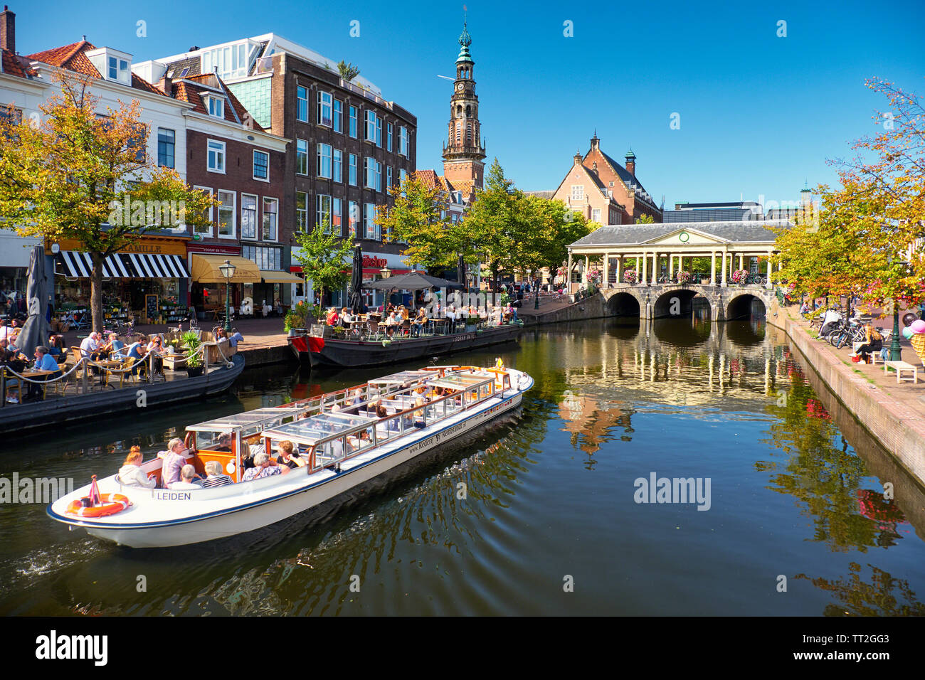 Gita in barca a vela che passa su un canale, Leiden, Paesi Bassi Foto Stock
