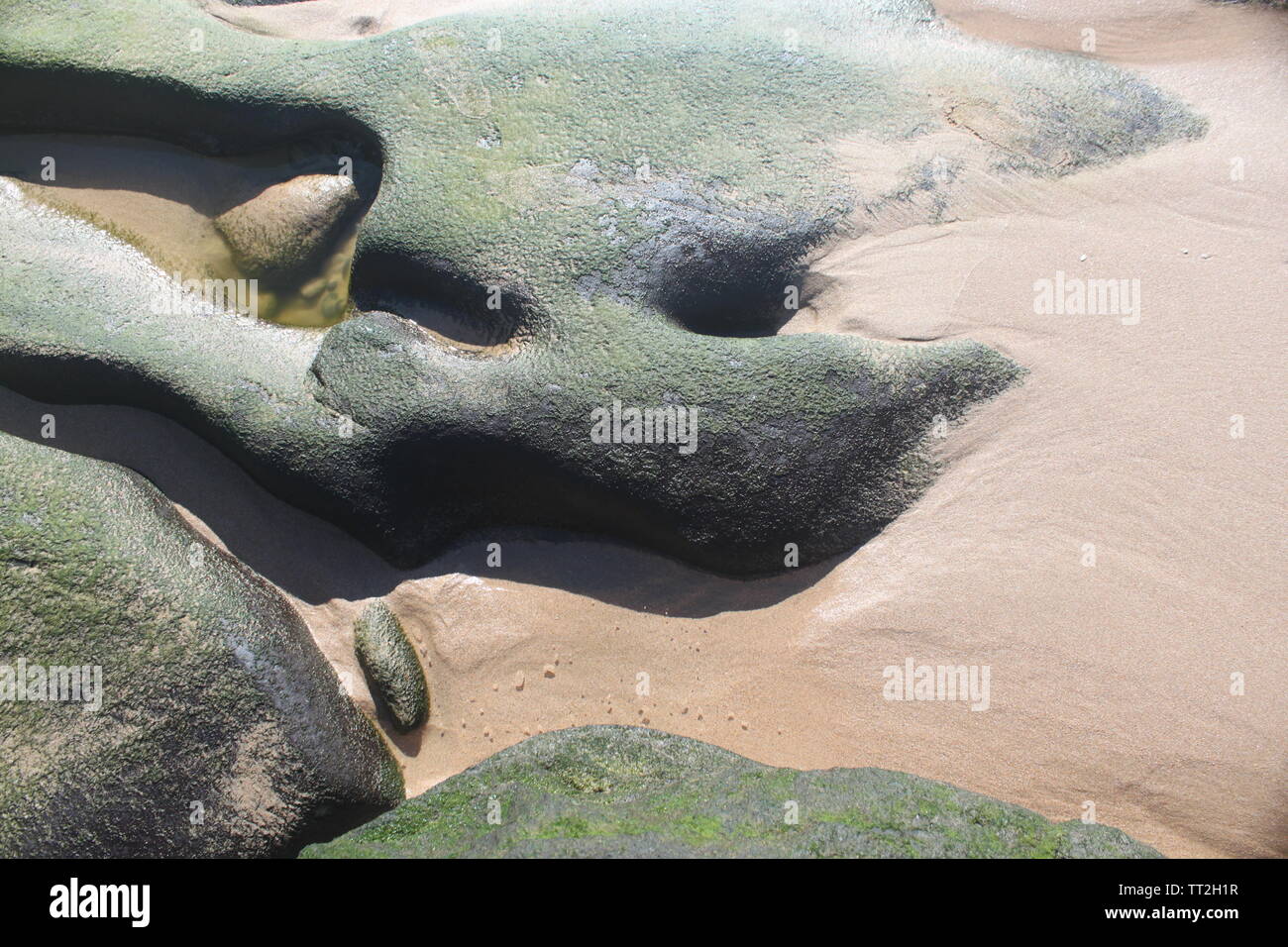 Mare astratta formazione rocciosa con moss la texture e la spiaggia di sabbia Foto Stock