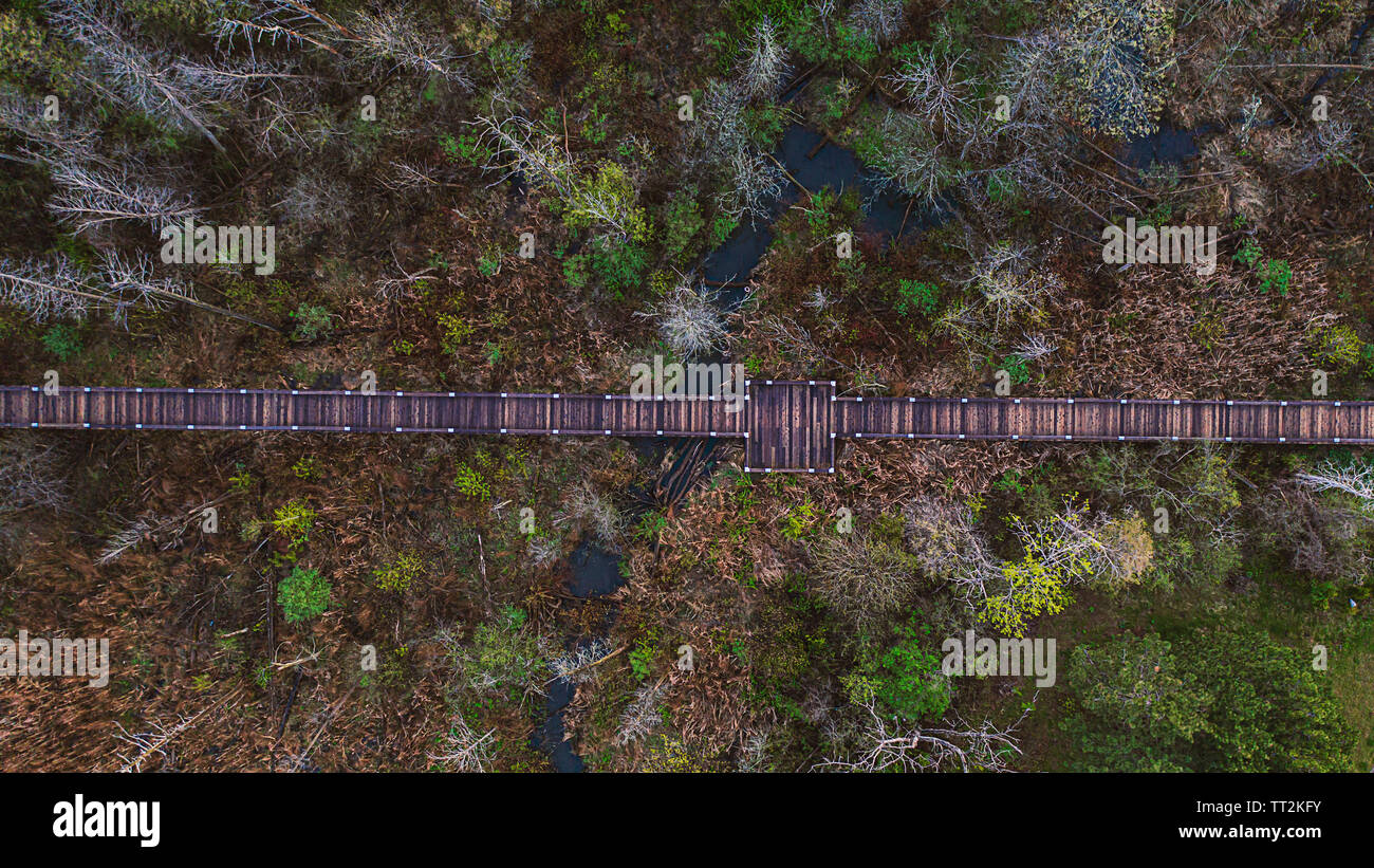 Una passeggiata nel bosco Foto Stock