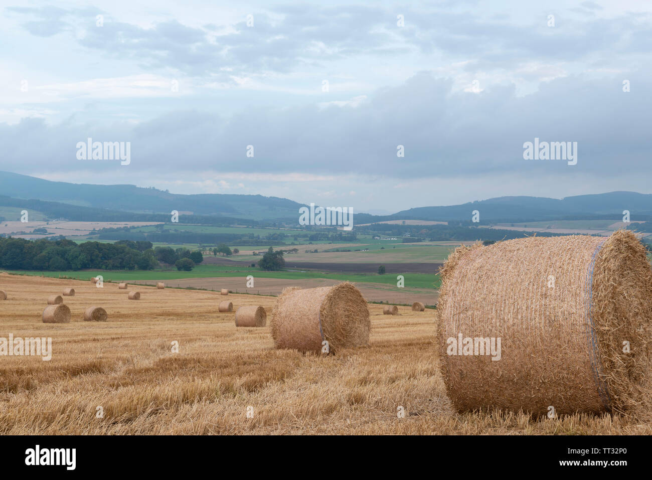 Un campo di stoppie con balle di paglia su una Mattina nuvoloso in Aberdeenshire Campagna Vicino Sauchen Foto Stock