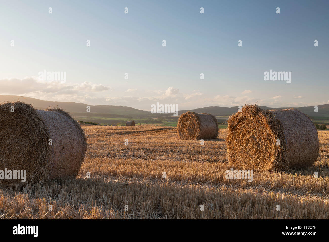 Le balle di paglia si trovano in un campo di Aberdeenshire su un soleggiato autunno serata con poche nubi all'orizzonte oltre la Suie Foto Stock