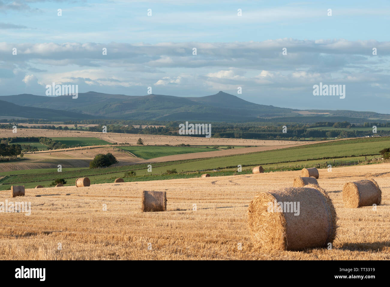 Una Veduta autunnale verso Bennachie in Aberdeenshire con le balle di paglia in primo piano Foto Stock