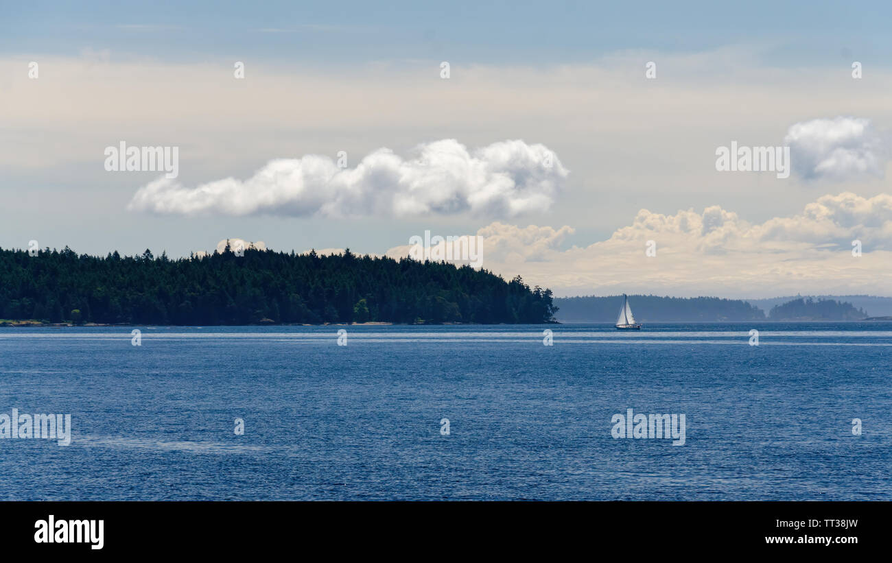 Una barca a vela bianca su una vista panoramica di Vancouver Island Foto Stock