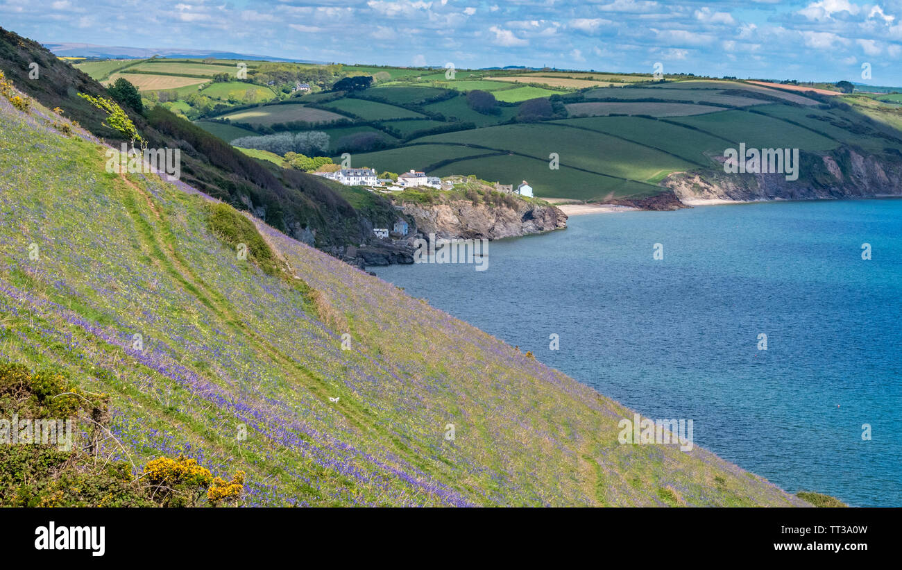 Paesaggi costieri al punto di partenza, Devon Foto Stock