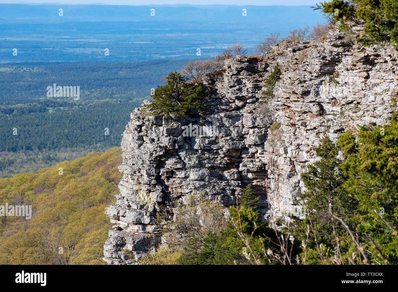 La vista dalla scogliera nei monti Ozark, Arkansas Foto Stock